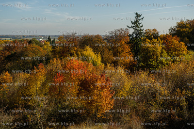 Gdansk. Jesienne, sloneczne przedpoludnie w Parku Orunskim.
27.10.2015
fot....