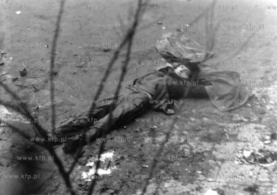 Zabity i przejechany przez czolg uczestnik demonstracji...