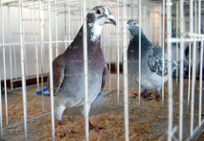 W dniach 5-7 stycznia w halach wystawienniczych Miedzynarodowych...