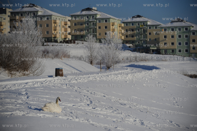 Gdansk Zakoniczyn. Zimowy krajobraz pelen sniegu, w...
