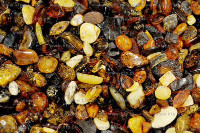 Amberif 2010. 17. Miedzynarodowe Targi Bursztynu, Bizuterii...