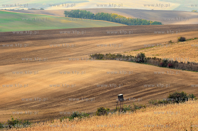 Morawy. Czechy. Okolice miejscowosci Kijev. Nz. pola...