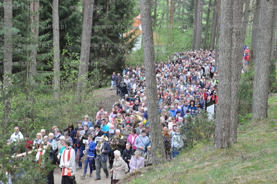 Tysiące pielgrzymów uczestniczyło w drodze krzyżowej...