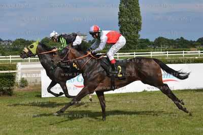 Wyscigi konne na sopockim Hipodromie. 17.07.2016 fot....