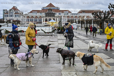 Sopot. 30. edycja Wielkiej Orkiestry Swiatecznej Pomocy...