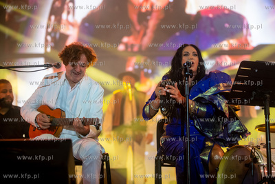 Festiwal Męskie Granie na parkingu Polsat Plus Areny...