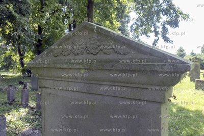 Największy w Polsce, wpisany w 1988 roku do rejestru...