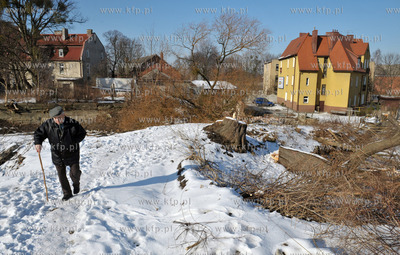 Wycinka drzew pod budowe nowej Trasy Slowackiego. Nz....