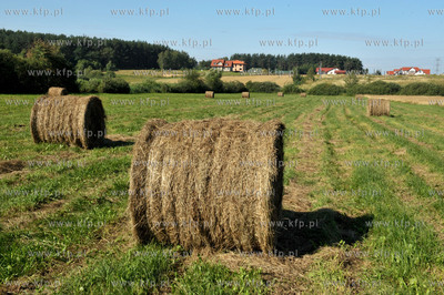 Wies Sulmin na Kaszubach w gminie Zukowo.Bele siana...