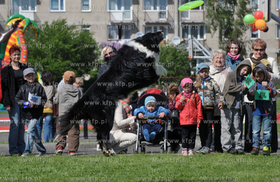 Festyn Osiedlowy w ramach Dni Sasiadow na terenie Gimnazjum...