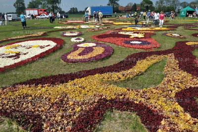 Zulawski Tulipan -  piata edycja imprezy zorganizowanej...