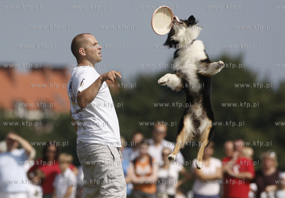 Sopot. Hipodrom. Zawody Frisbee - latajace psy za latajacym...