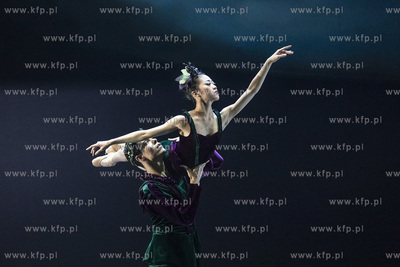 Opera Bałtycka. Próba generalna baletu Sen Nocy Letniej...