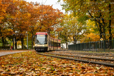 Gdańsk, Tramwaj nr 6 na  Al. Wojska Polskiego. 28.10.2020...