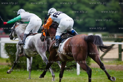 Wyscigi konne na sopockim hipodromie.
13.07.2013
fot....