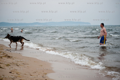 Sopocka plaza przyjazna dla zwierzat. Wprowadzona uchwala...