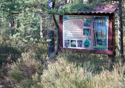 Miejscowosc Ulinia w gminie Wicko. 30.03.2008 Fot....