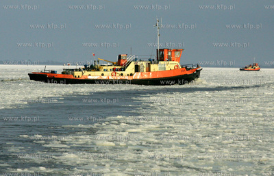 Szczecin. Wspolna akcja polskich ( Dzik, Lis, Zbik,...