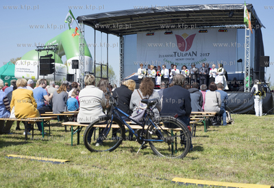 Zulawski Tulipan 2017. Kraina lagodnosci w Mokrym Dworze...
