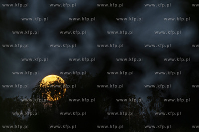 Dobrzewino. Superksiężyc - pełnia księzyca, lipiec...