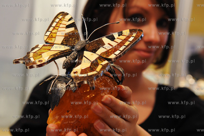 Gdansk, Miedzynarodowe Targi Gdanskie. Targi AMBERIF....