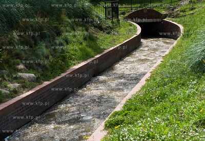 Gdansk Wrzeszcz, Park nad Strzyza.
02.07.2009
fot....