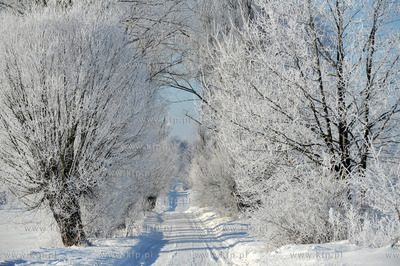Zima w Sulminie na Kaszubach. Droga z Niestepowa do...