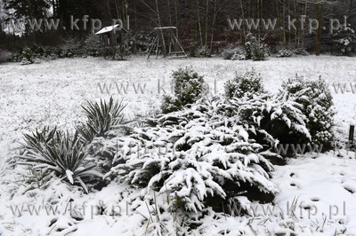 Sulmin na Kaszubach, niedaleko Gdańska. Pierwszy śnieg...