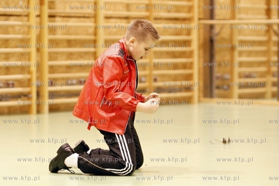 Ergo Arena. Casting Na Małego, Polskiego Jacksona
do...