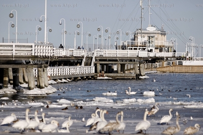 Sopot. Molo.
20.02.2012
fot. Krzysztof Mystkowski...