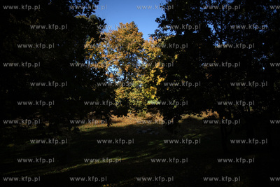 Gdansk. Park Przymorze.
17.10.2012
fot. Krzysztof...