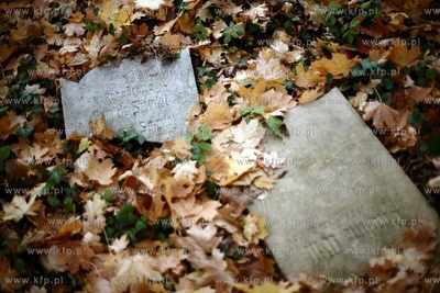 Gdansk - Wrzeszcz. Zapomniany cmentarz urnowy z poczatku...