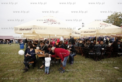 Bielkowko. Bielkowskie Kozlaki.
14.09.2013
fot. Krzysztof...