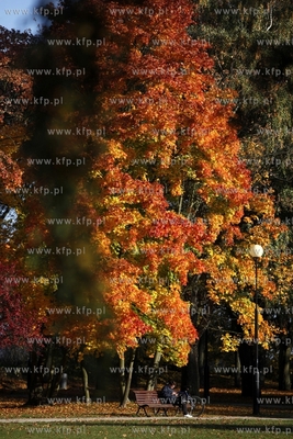 Sopot. Park Polnocny.
14.10.2013
fot. Krzysztof Mystkowski...