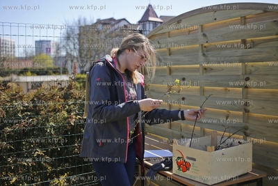 Zespół Szkół Architektury Krajobrazu i Handlowo-Usługowychw...