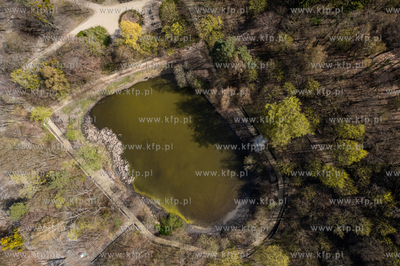 Staw Morskie Oko w Sopocie.
29.04.2022
fot. Krzysztof...