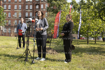 Na skwerze Daszyńskiego w Gdańsku posadzono dwa ambrowce...