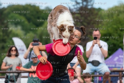 Zawody Latających Psów w gdyńskim parku Kolibki....