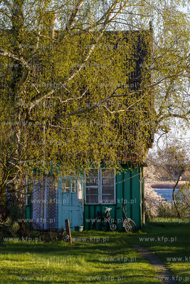 Wyspa Sobieszewska. Nz. Stary dom. 01.05.2016 / fot....