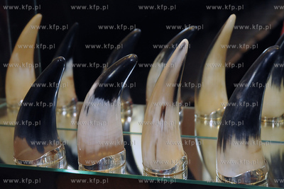 Muzeum Tabaki - Tabacznik pomyslu Daniela Czapiewskiego...