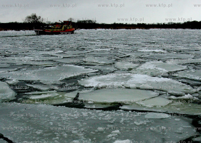 Szczecin. Wspolna akcja polskich ( Dzik, Lis, Zbik,...