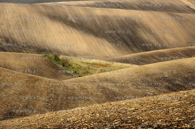 Morawy. Czechy. Okolice miejscowosci Kijev. Nz. pola...