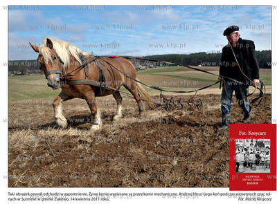 Zdjecia z albumu "Fot. Kosycarz. Niezwykle zwykle zdjecia...