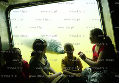 Hel. Fokarium.
27.06.2009
fot. Krzysztof Mystkowski...