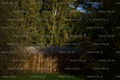 Gdansk. Park Ronalda Reagana.
17.10.2012
fot. Krzysztof...