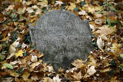 Gdansk - Wrzeszcz. Zapomniany cmentarz urnowy z poczatku...