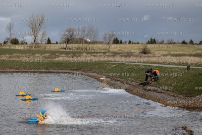 Gdańsk Kokoszki. Skażona woda i martwe ryby w zbiorniku...