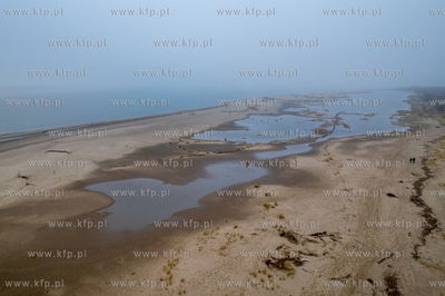 Wyspa Sobieszewska. Rezerwat Mewia Łacha. 19.01.2025...