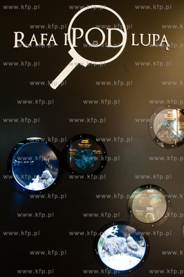 Akwarium Gdynskie Morskiego Instytutu Rybackiego -...