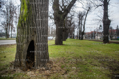 Gdańsk. Znajdująca się w ciągu Alei Zwyciestwa,...